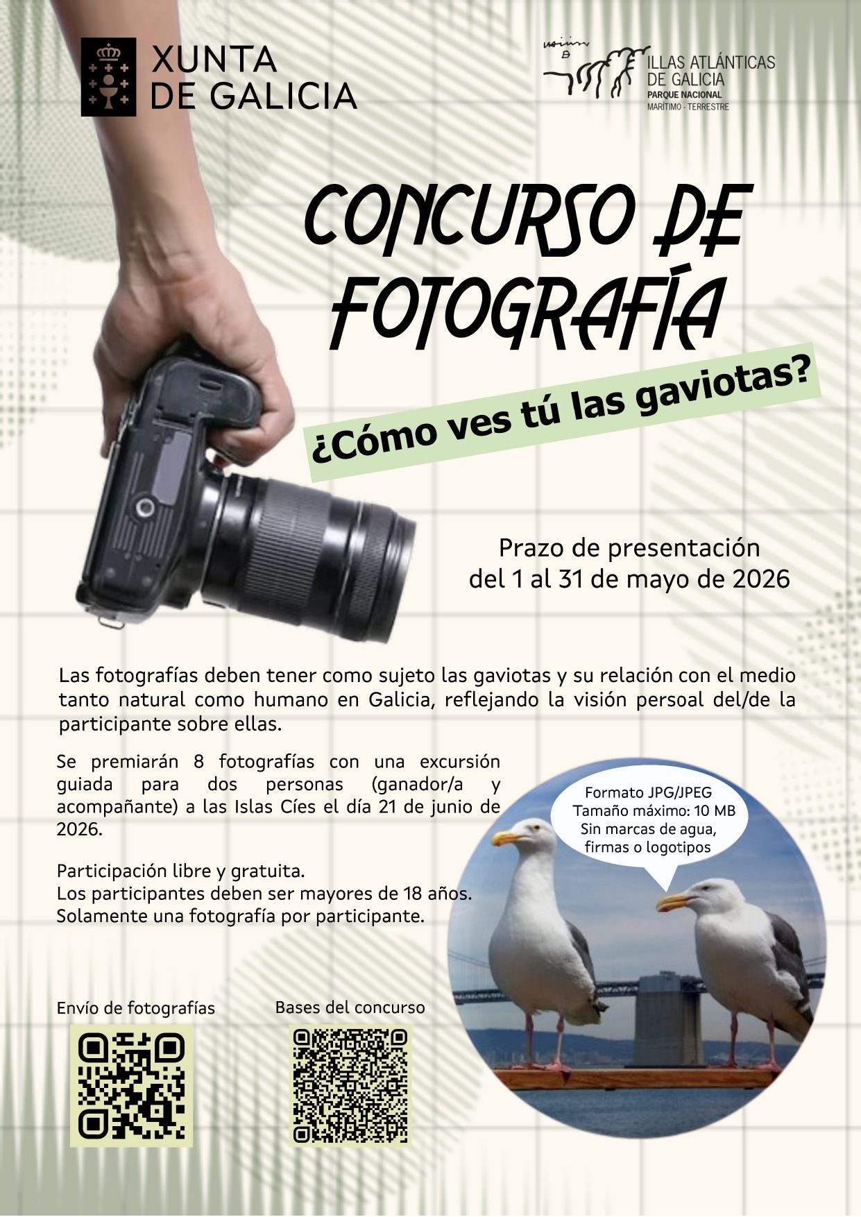 Cartel ¿como ves tú las gaviotas?