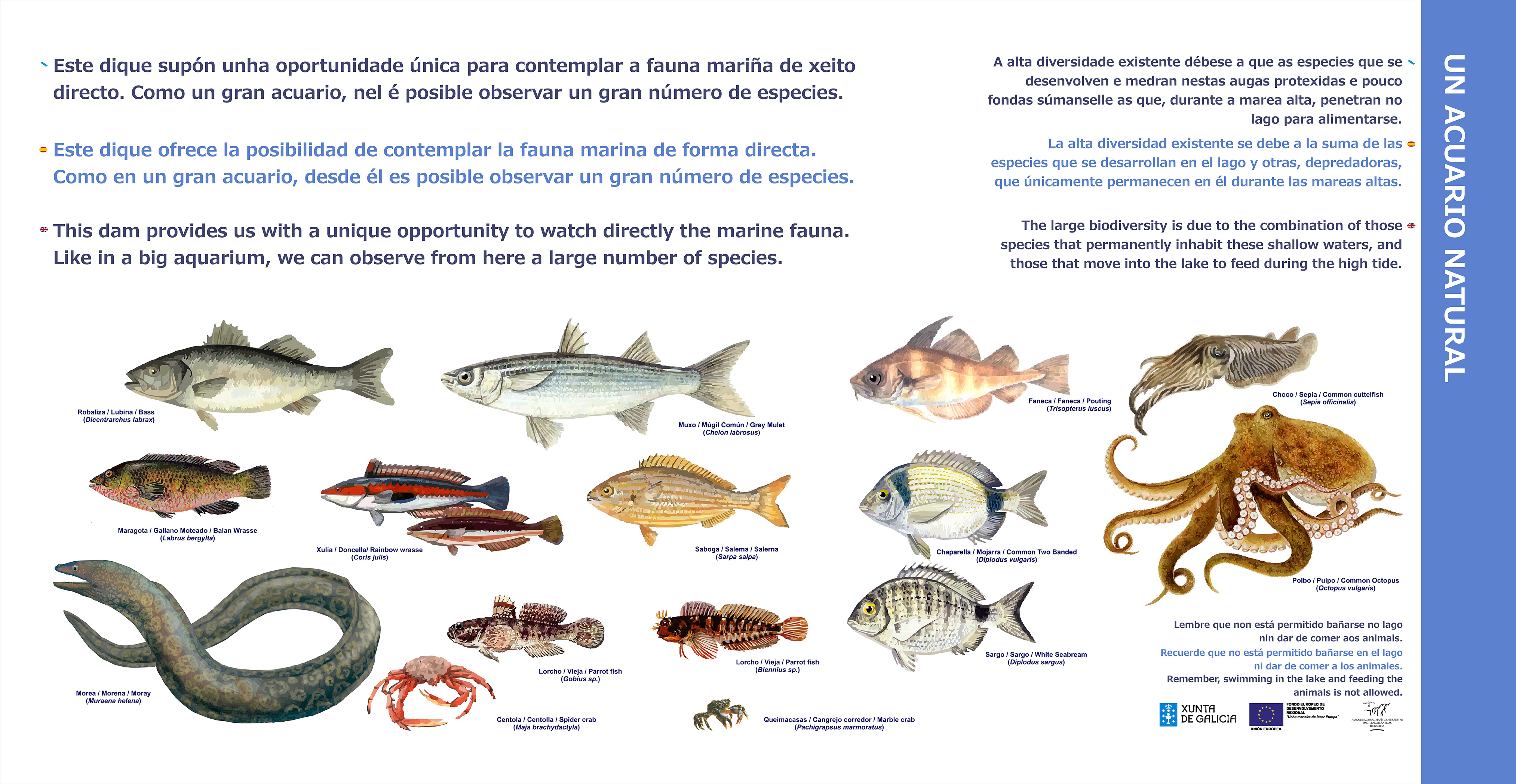 Cíes - Panel Un acuario natural