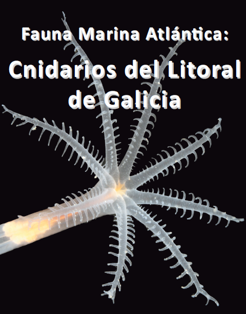 Portada da publicación Fauna mariña atlántica: os cnidarios do litoral de Galicia