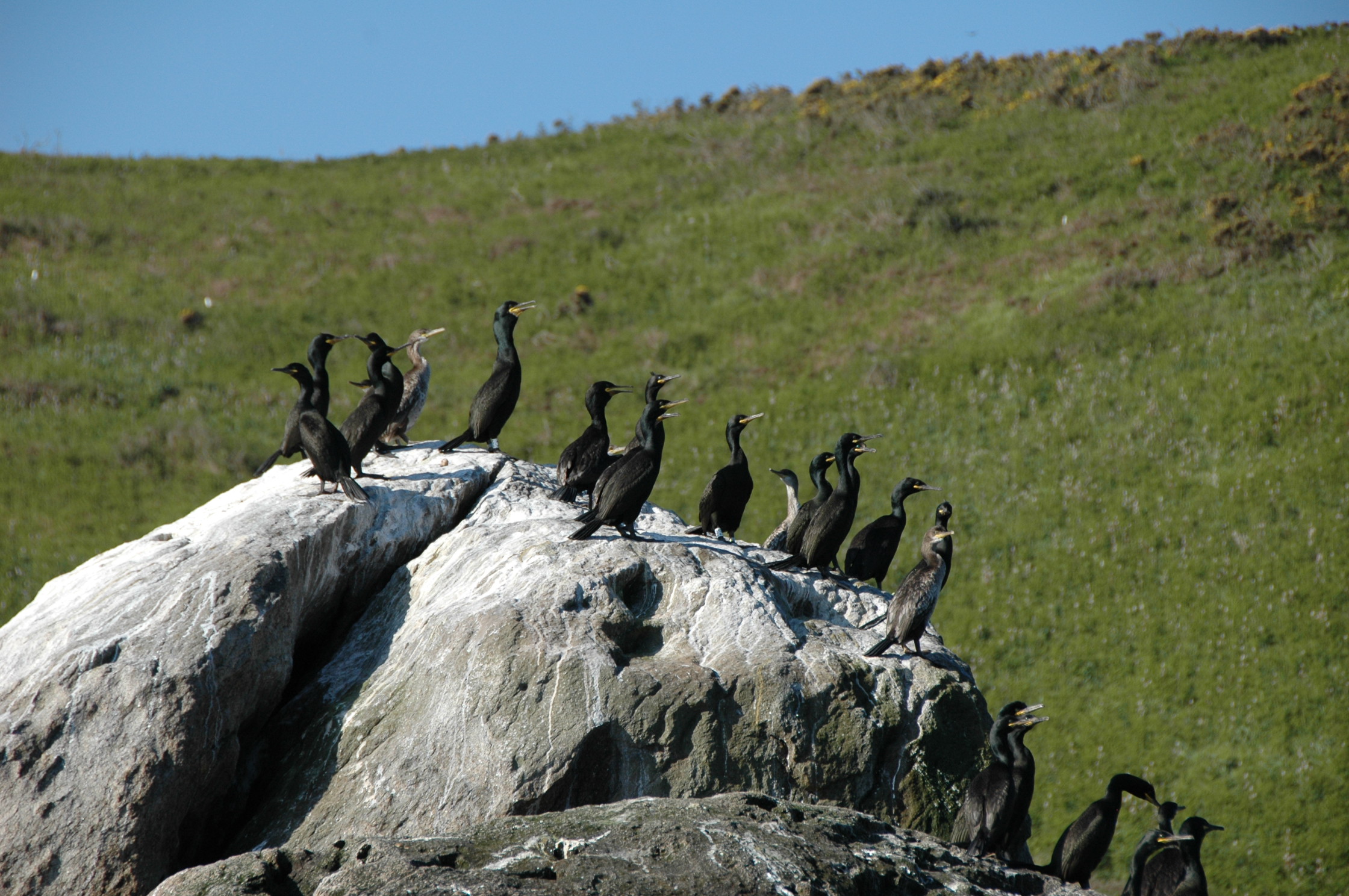 A natureza no parque