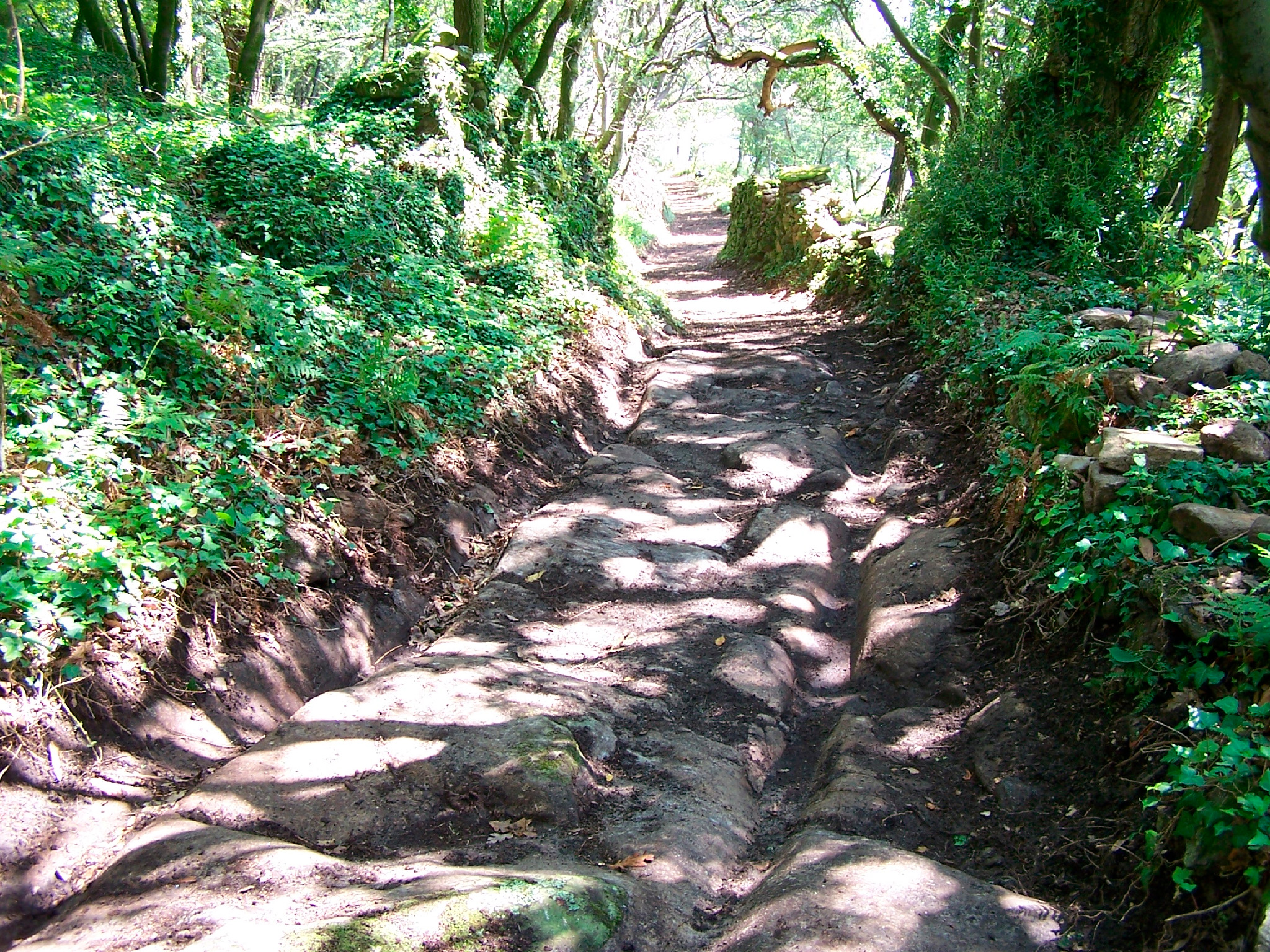 Cortegada - Camiño do carro