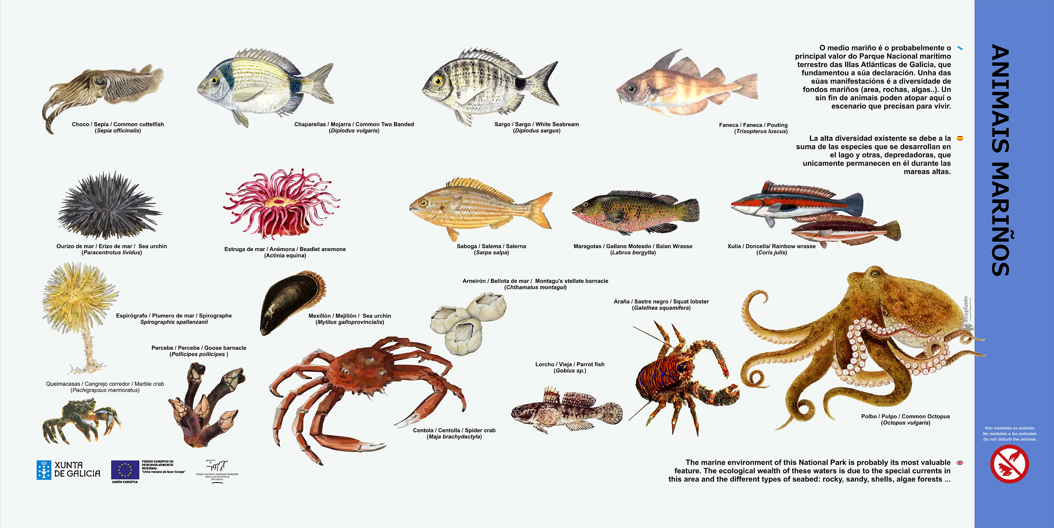 Panel diversidade mariña