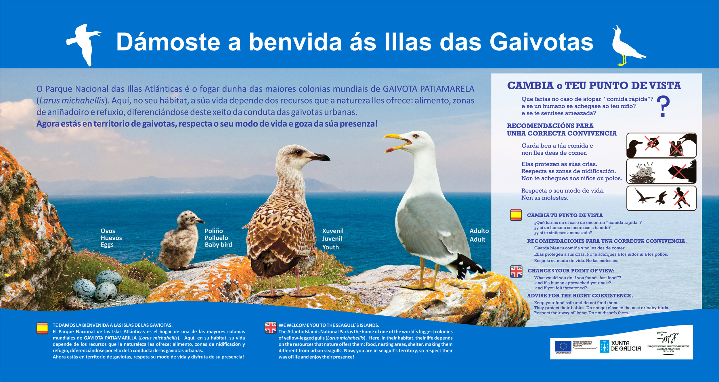 Panel As illas das gaivotas