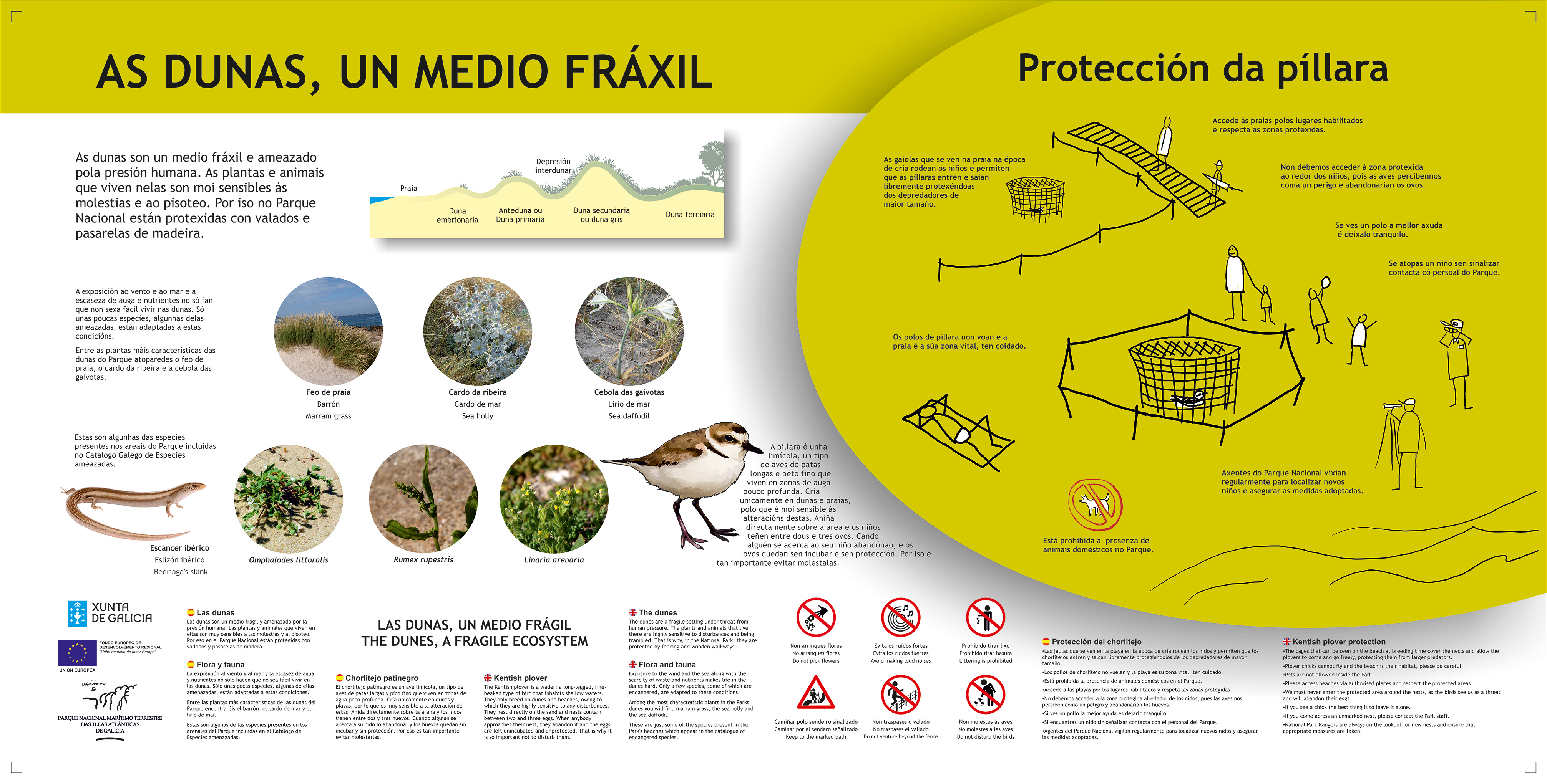 Panel píllara das dunas