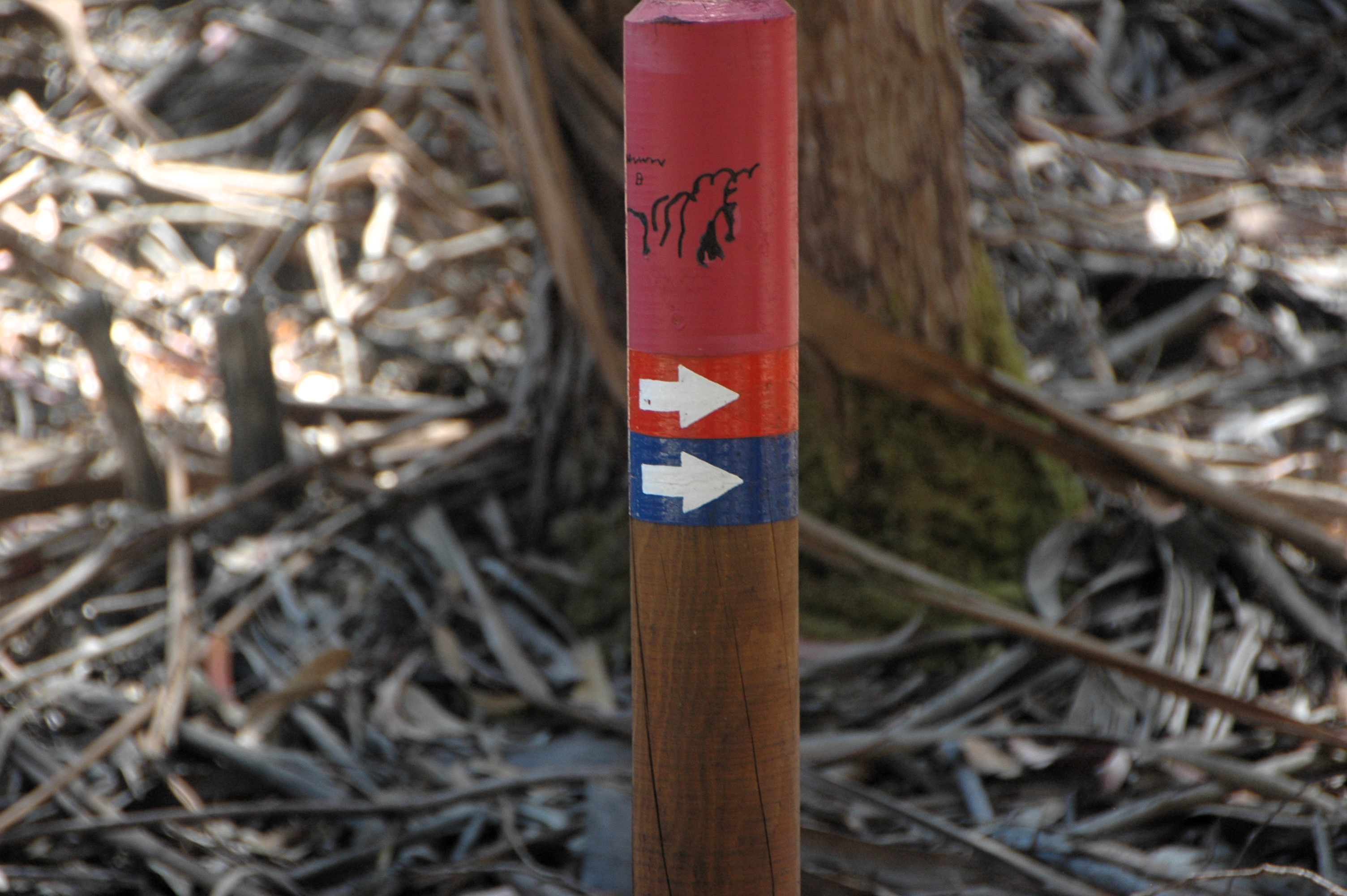 itinerariso sinalizados