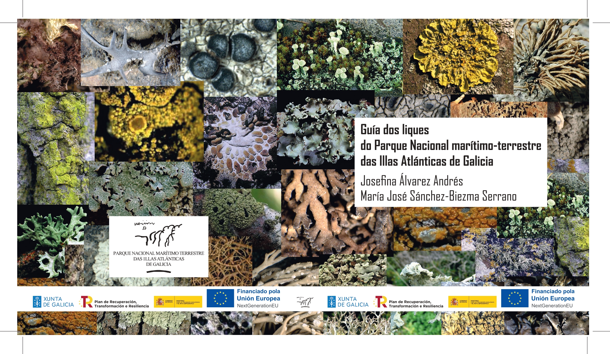 portada guía liques