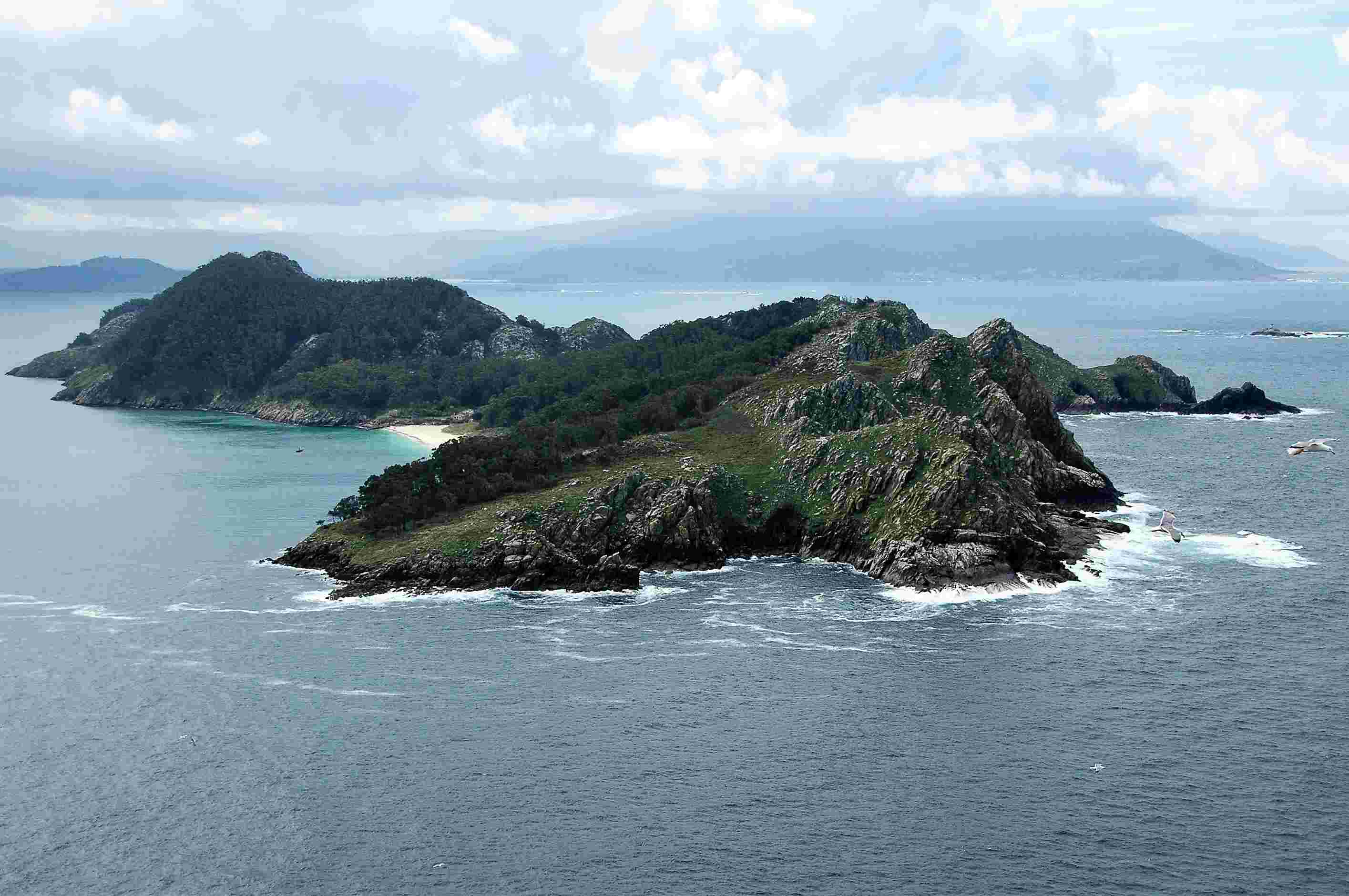 Illa Sur ou de San Martiño (Cies)