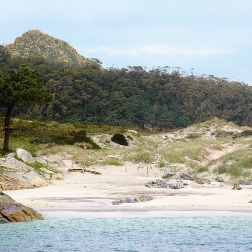 Cíes - A Area Pequena e dunas de Muxieiro