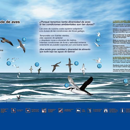 Cíes - Panel aves mariñas - Observatorio