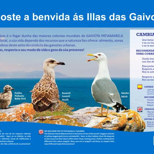 Cíes - Panel A illa das gaivotas