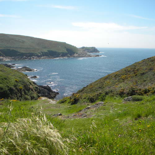 Ons - Enseada de Caniveliñas