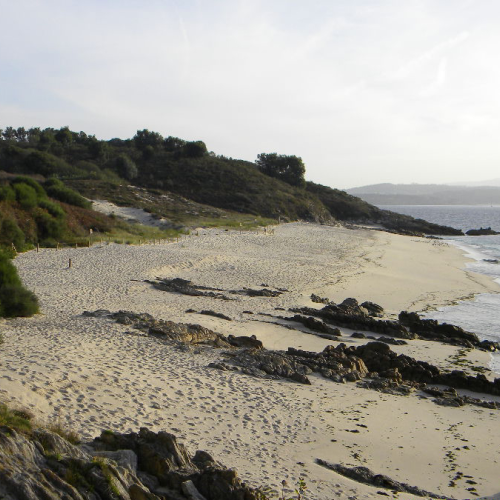Ons - Praia e Dunas de Melide