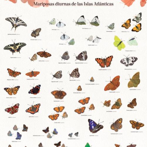 Portada da publicación Bolboretas diúrnas das Illas Atlánticas