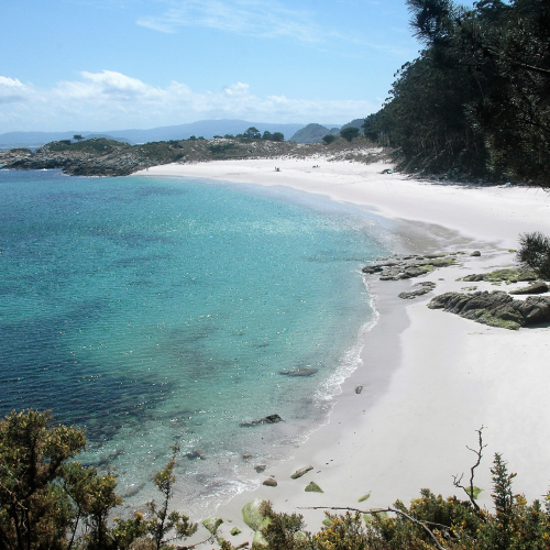Cíes - Praia de Figueiras