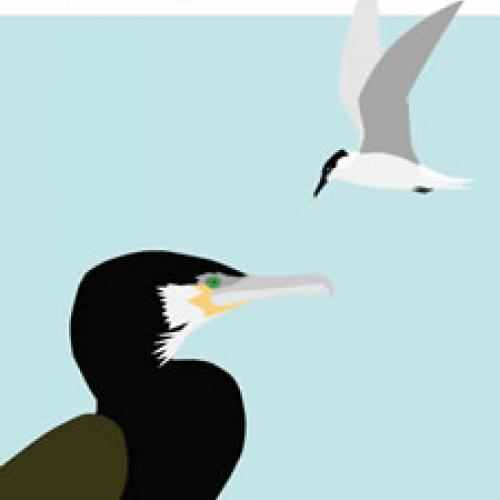 Portada da guía básica de aves mariñas do Parque Nacional