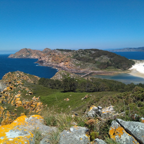 Cíes - Observatorio de aves e miradoiro do Alto da Campá