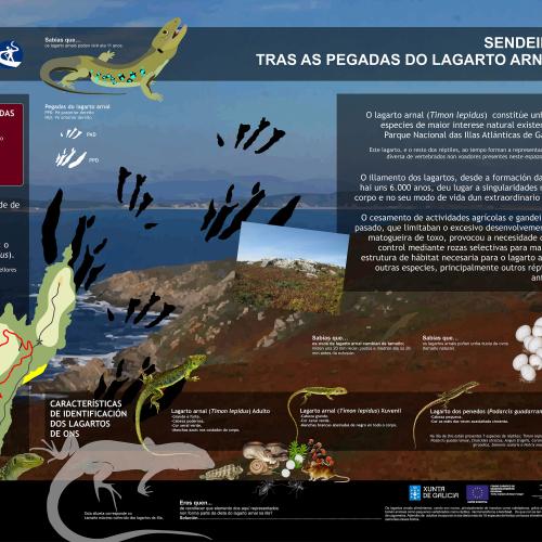 Panel Ruta do Lagarto