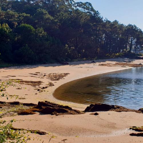 Cortegada - Praia de Sartaxéns