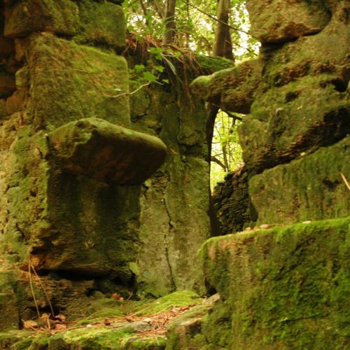 Patrimonio Cortegada4