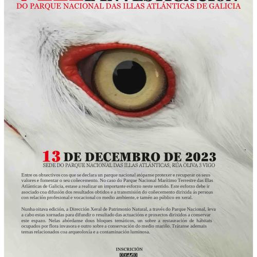 Cartel VIII xornadas investigación