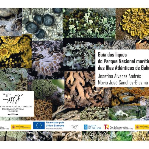 portada guía liques