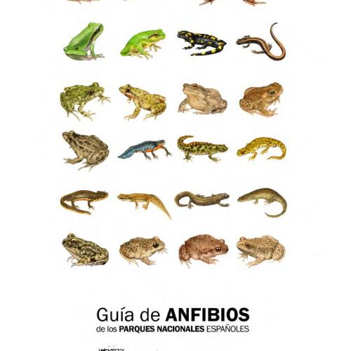 Guía anfibios de los Parques Nacionales españoles