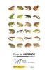 Guía anfibios de los Parques Nacionales españoles
